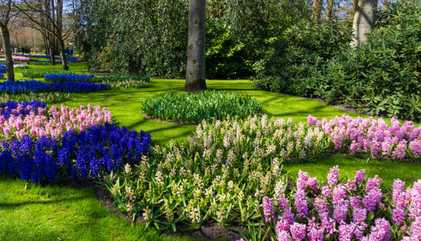 Où trouver un paysagiste à Vanves ?